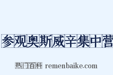 参观奥斯威辛集中营是什么意思的图片